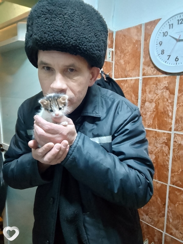 Андрей, 53, Нижнем Новгороде — анкета №1958437