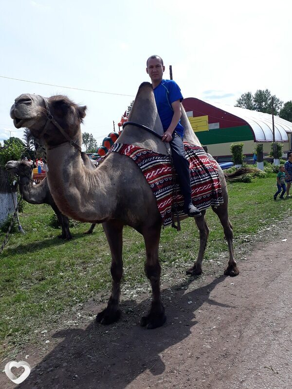 Илья, Абдулино