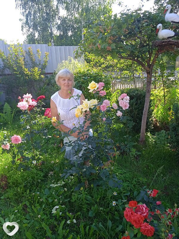 Светлана, 64, Витебске — анкета №2015513