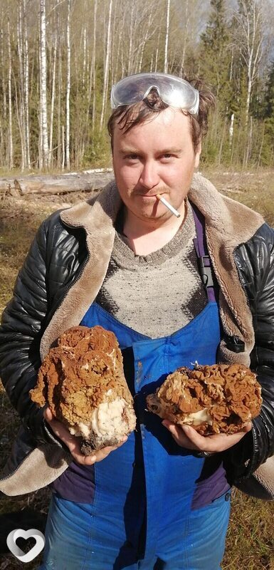Борис, Суземка
