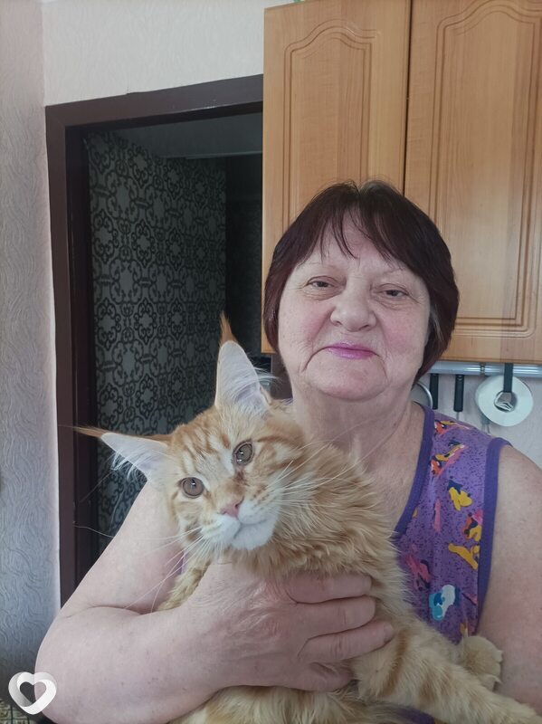 Светлана, 68, Донецке — анкета №2026281