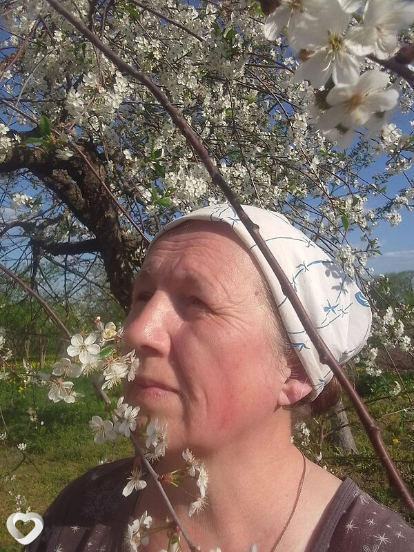 Светлана, Мытищи