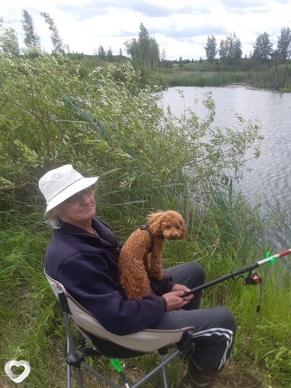 Сергей, 68, Сергиеве Посаде — анкета №2034484