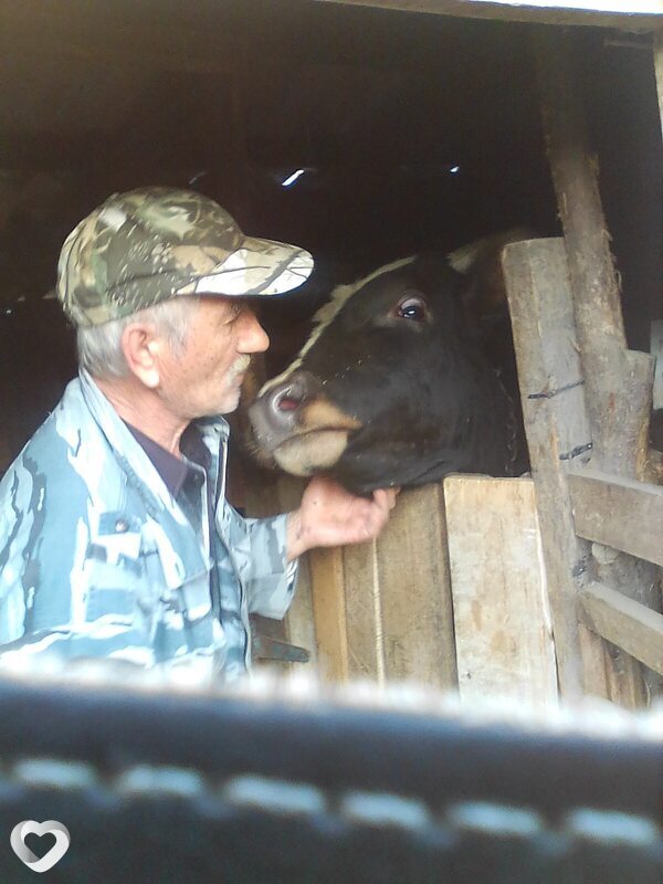 Гена, 64, Краснодаре — анкета №2039660