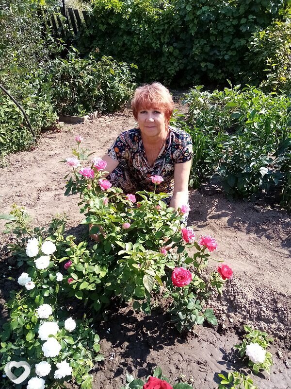 Лана, 63, Орске — анкета №2043307