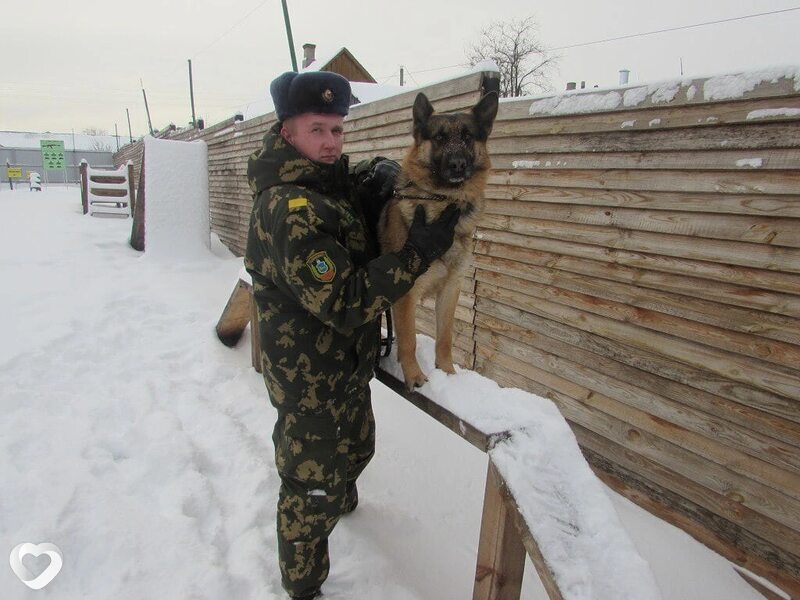 Дмитрий, 33, Гомеле — анкета №2052311