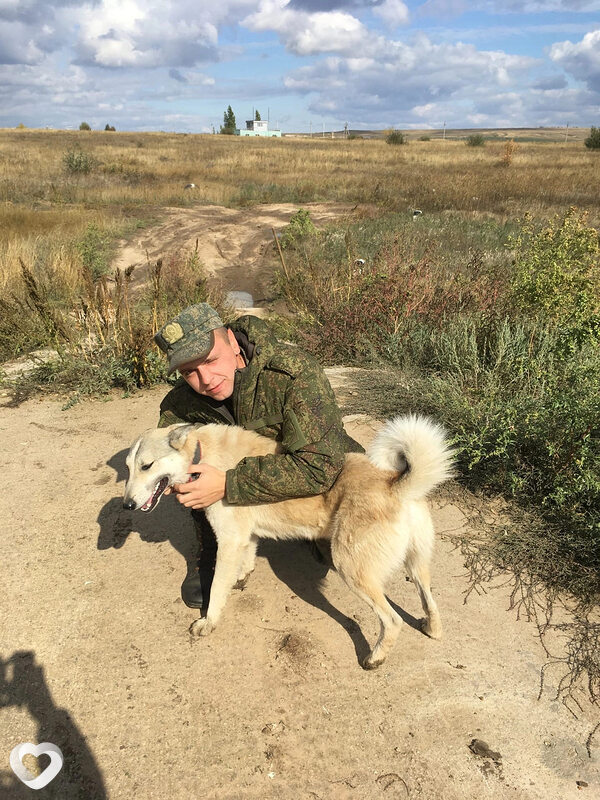 Денис, 29, Волгограде — анкета №2059828