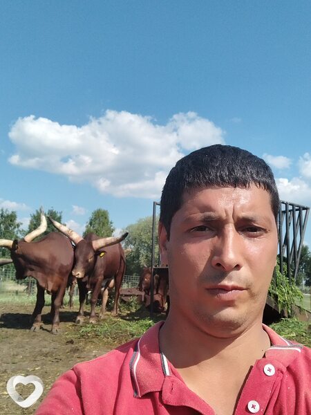Александр, 40, Ганцевичах — анкета №2059841