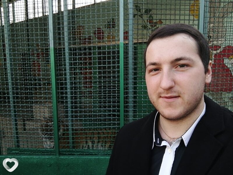 Владимир, 26, Новоалександровске — анкета №2062845