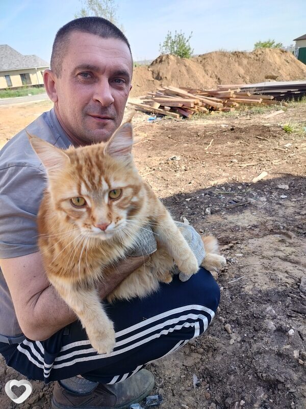 Владимир, 49, Волгограде — анкета №2068577