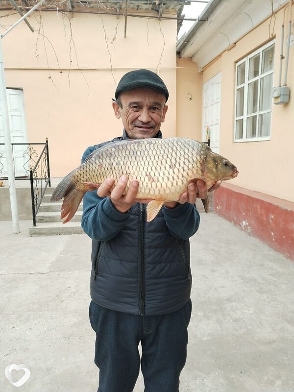 Абдулла, 58, Ташкент — анкета №2071256