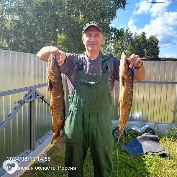 Алексей, 51, Рязани — анкета №2076306