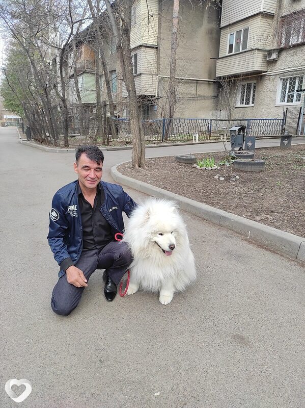 Роман, 49, Алматы — анкета №2076457