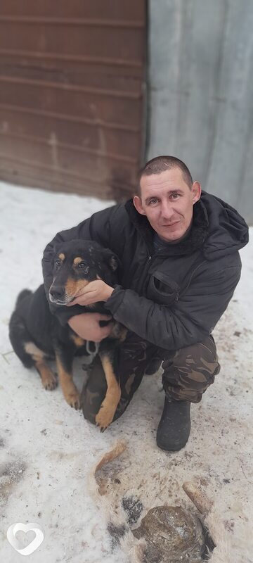 Павел, 35, Ершове — анкета №2082032