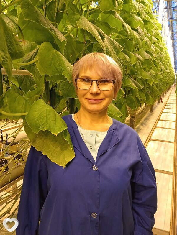 Елена, Рославль