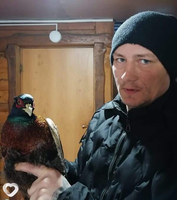 Дмитрий, 41, Волгограде — анкета №2104714