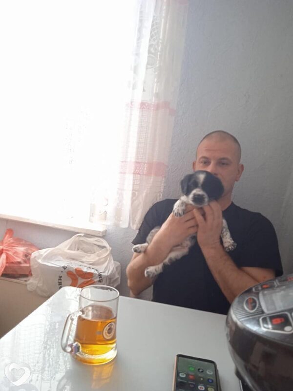 Анатолий, 43, Москве — анкета №2106363