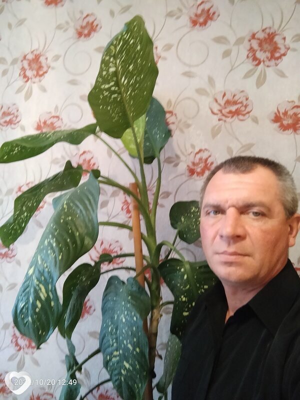 Олег, 49, Кокшетау — анкета №2107506