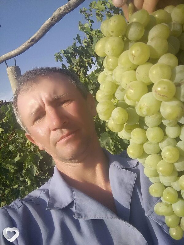 Андрей, Сарыагач