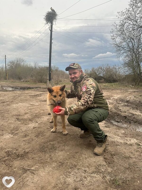 Сергей, 44, Туле — анкета №2109924