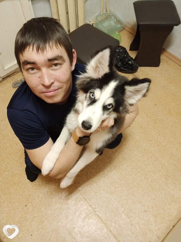 Артур, 31, Волгограде — анкета №2115878