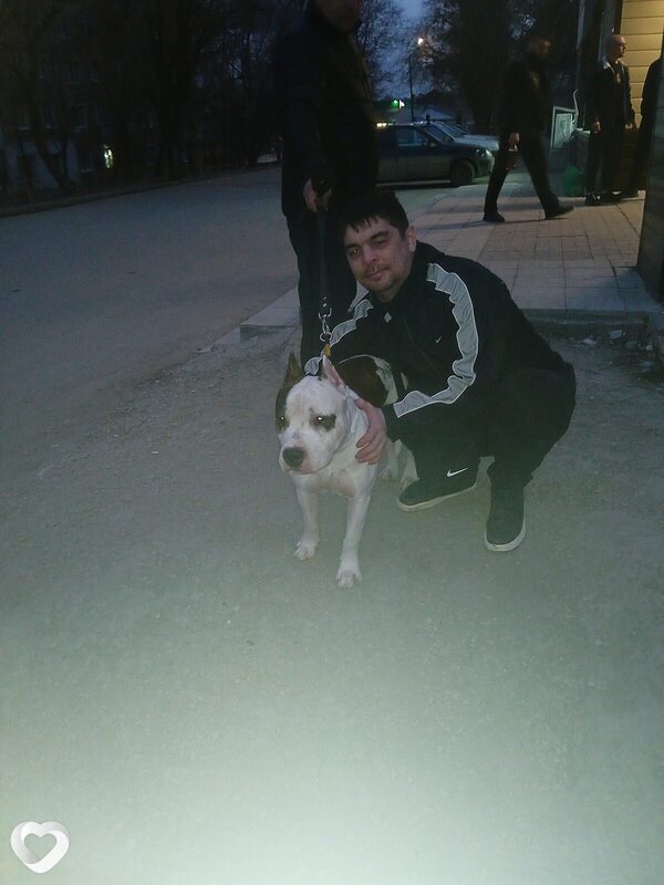 Дима, 37, Саратове — анкета №2118765