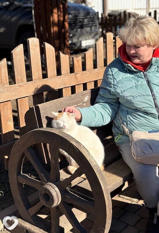 Наталия, 53, Санкт-Петербурге — анкета №2119266