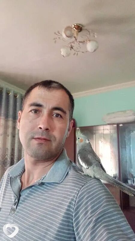 Алишер, 44, Навои — анкета №2157254