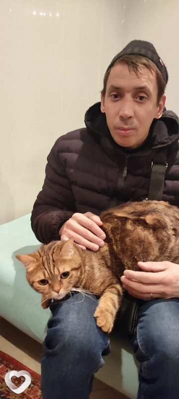 Дмитрий, 35, Липецке — анкета №2161446