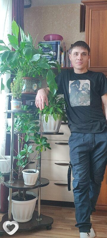 Владимир, 36, Новосибирске — анкета №2161408