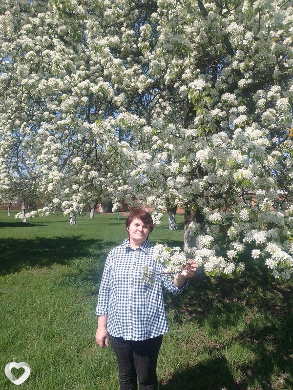 Наталья, 55, Бобруйске — анкета №2133623