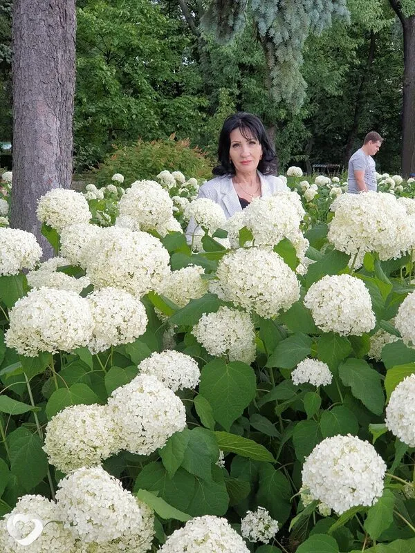 Галина, 63, Москве — анкета №2136079