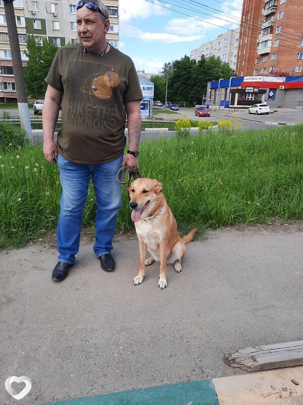Слава, 54, Богородске — анкета №2137757