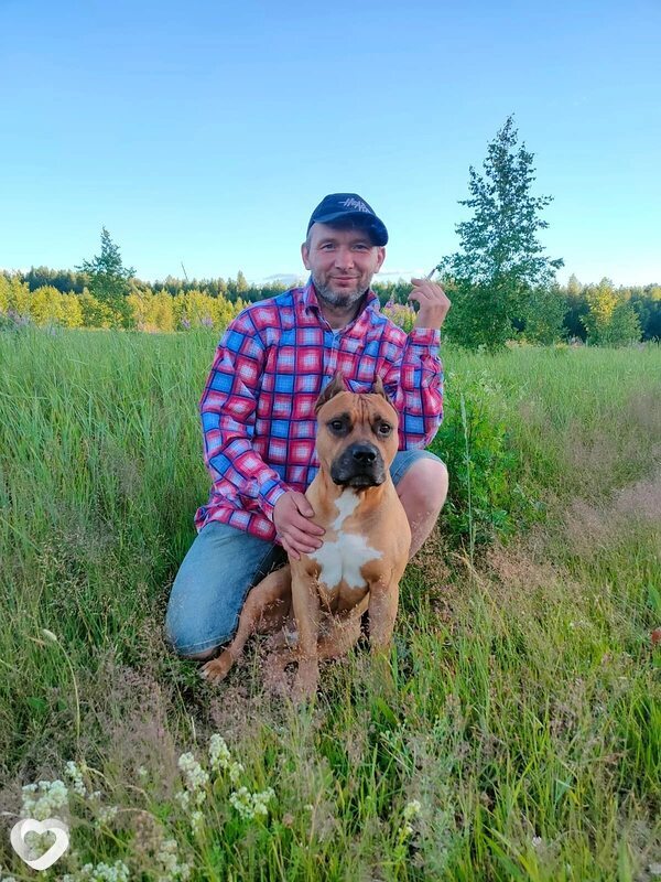 Владимир, 42, Череповце — анкета №2138353