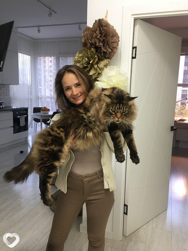 Екатерина, Москва
