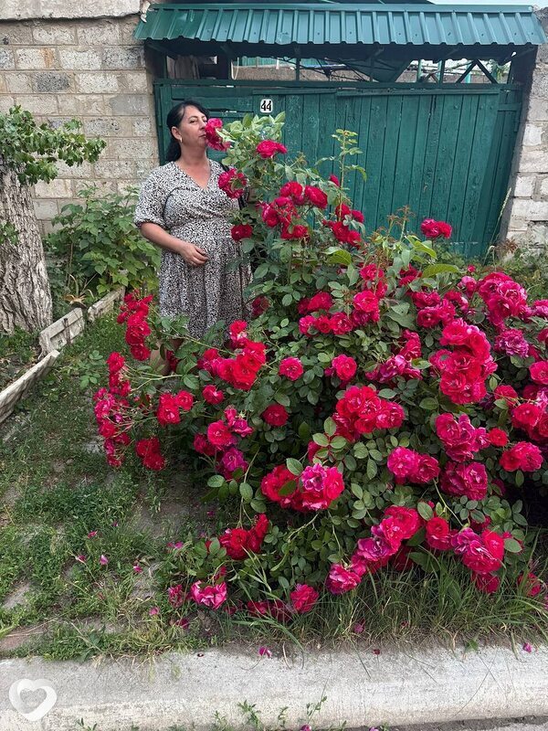 Яна, 41, Луганске — анкета №2166255