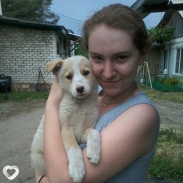 Натали, 28, Ставрополе — анкета №2143149