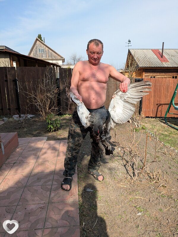 Костя, 53, Новосибирске — анкета №2142696