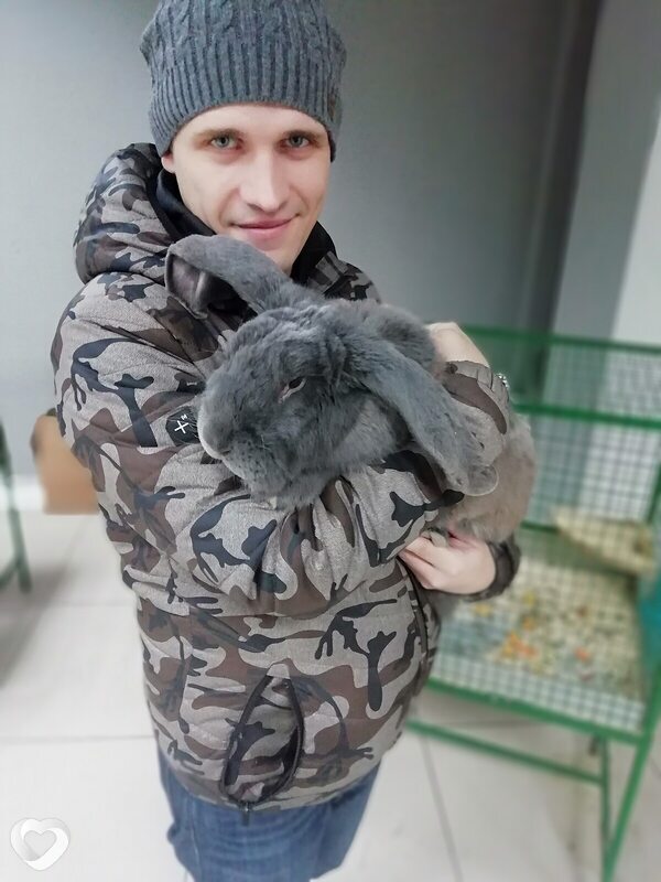 Евгений, 35, Москве — анкета №2168847