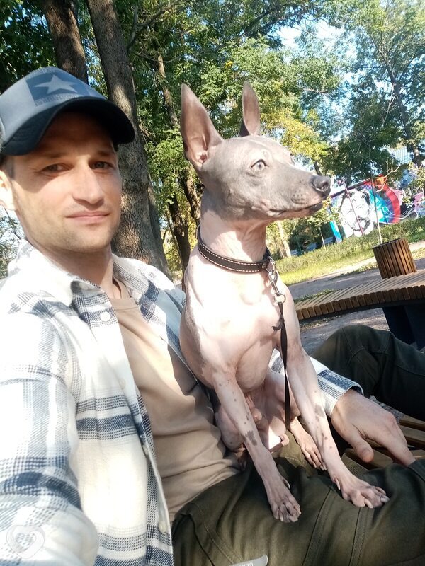 Илья, 33, Белгороде — анкета №2147469