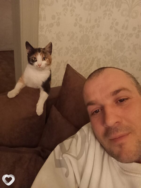 Costea, 43, Кишинёв — анкета №2147494
