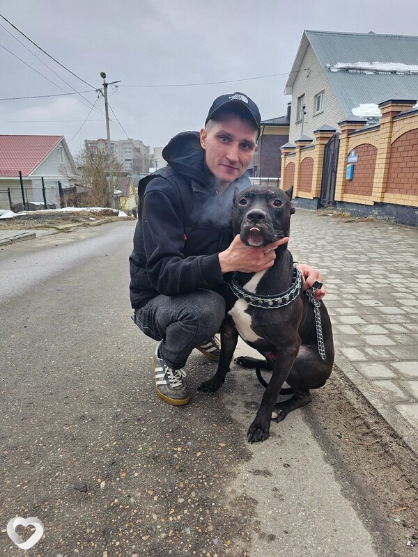 Алексей, 35, Владимире — анкета №2149776