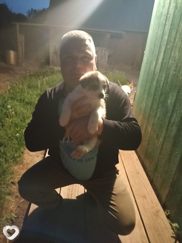 Володя, 41, Кирове — анкета №2173578