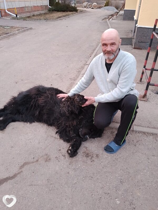 Саша, 59, Нижнем Новгороде — анкета №2178242