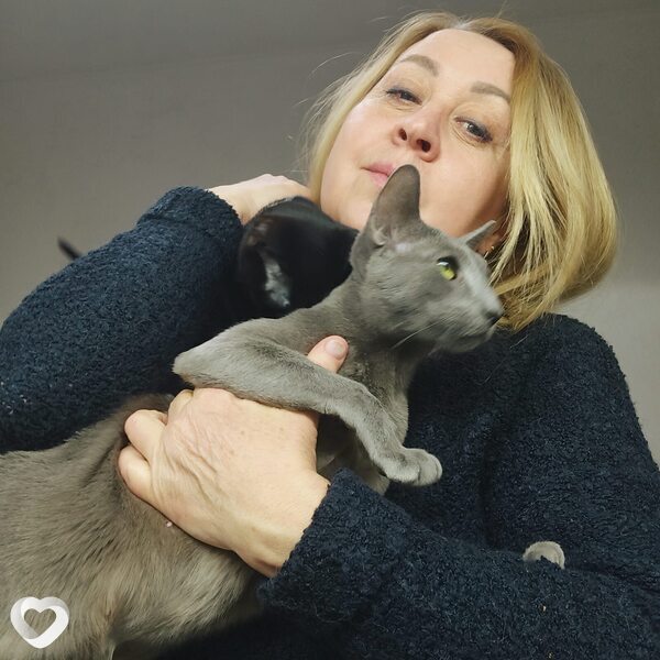 Ирина, 57, Ростове-на-Дону — анкета №2183697