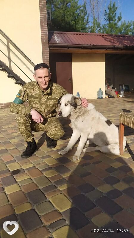 Alex Andr, 39, Киеве — анкета №2186386
