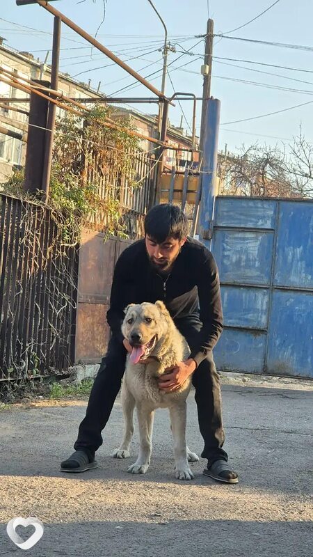 Davo, Зеленоград