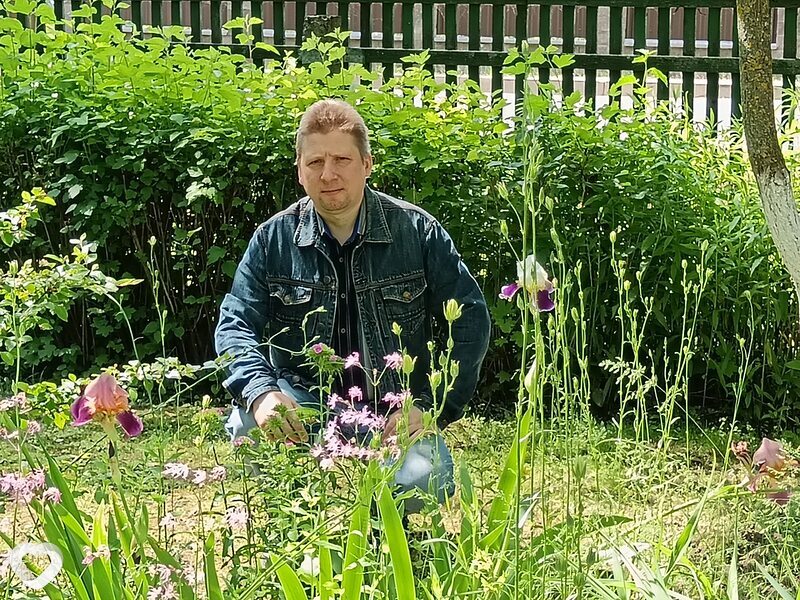 Николай, Бешенковичи