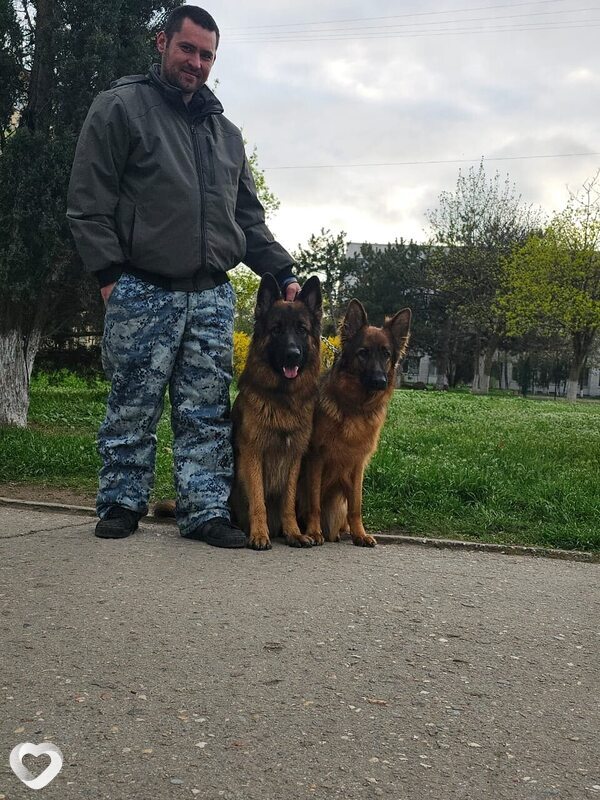 Дима, 34, Евпатории — анкета №2216125