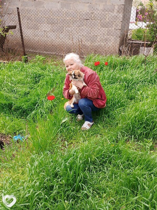 Людмила, 63, Мариуполе — анкета №2222028